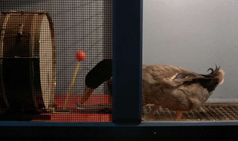 シュトロツェクの不思議な旅の画像