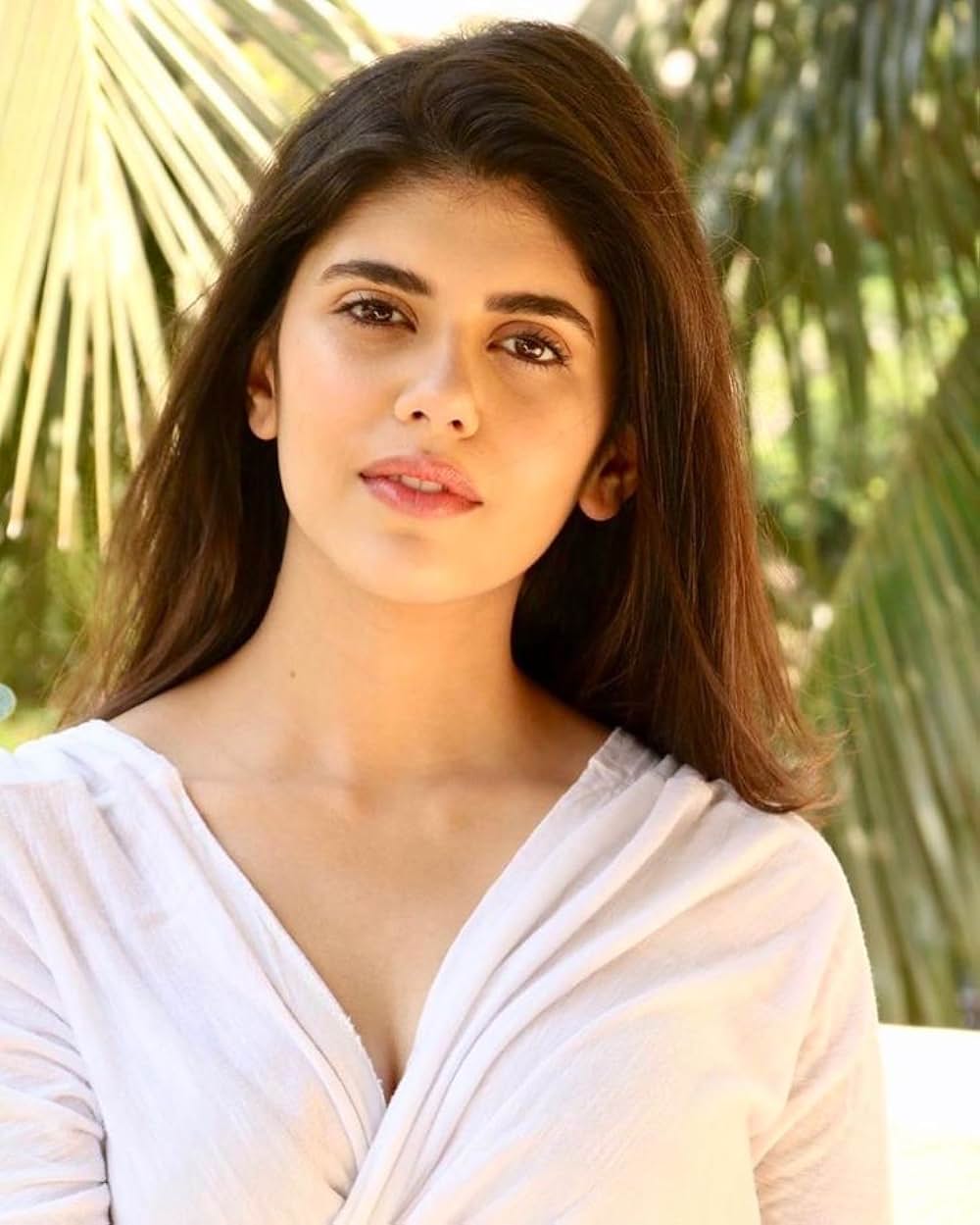 「ディル・ベチャーラ」の画像