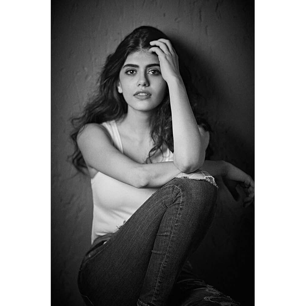 「ディル・ベチャーラ」の画像