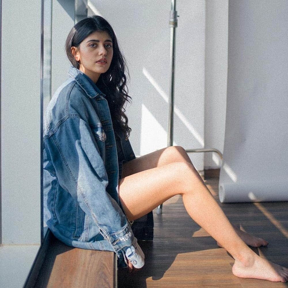 「ディル・ベチャーラ」の画像