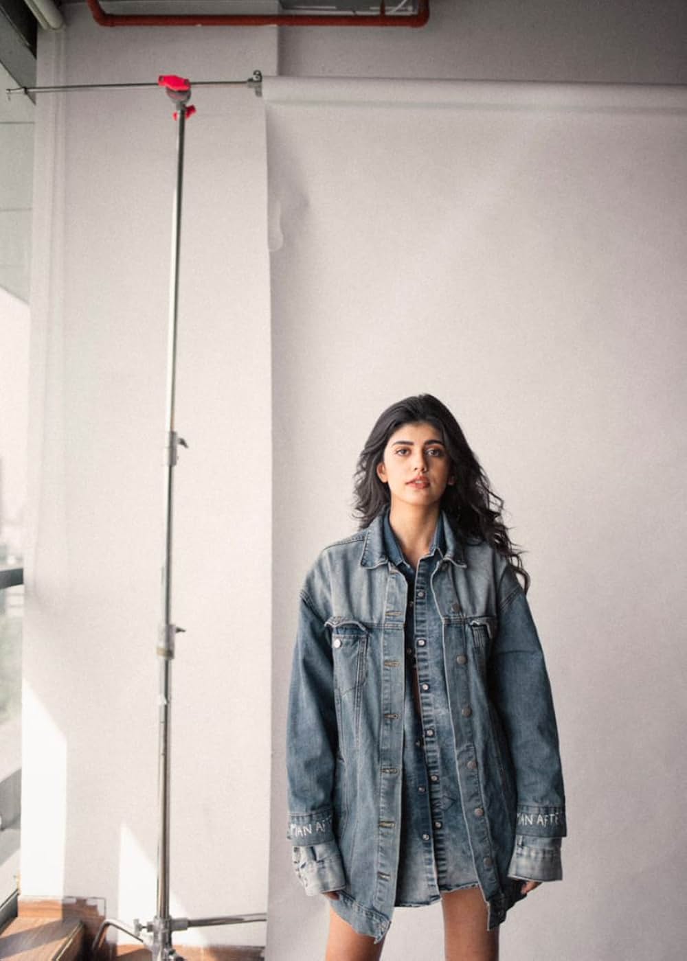 「ディル・ベチャーラ」の画像