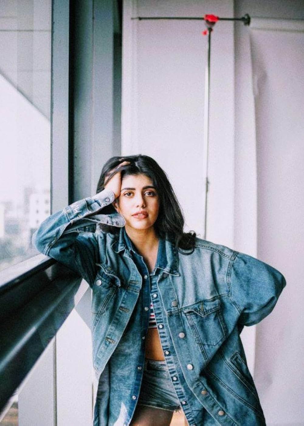 「ディル・ベチャーラ」の画像