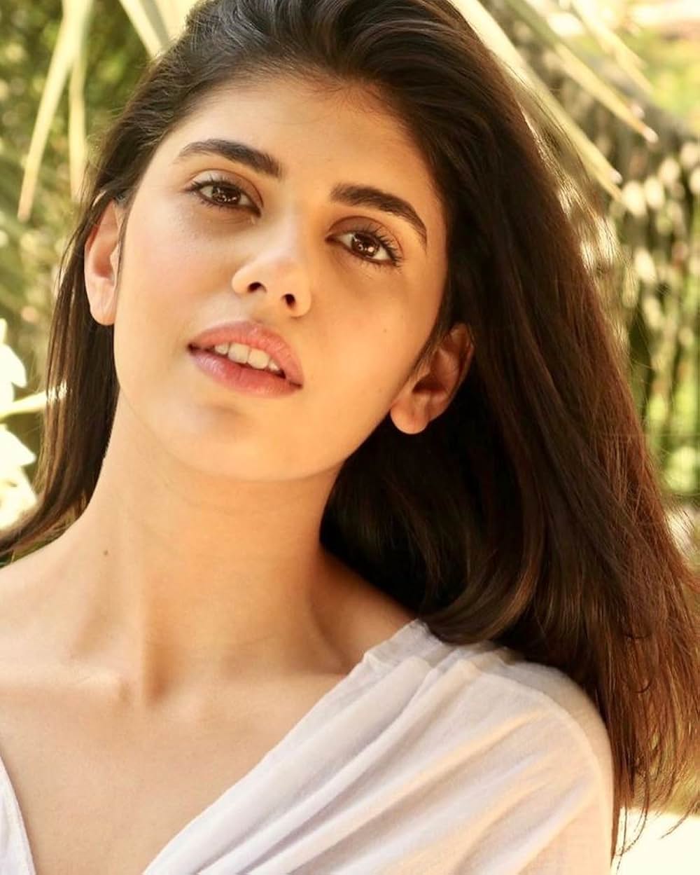 「ディル・ベチャーラ」の画像