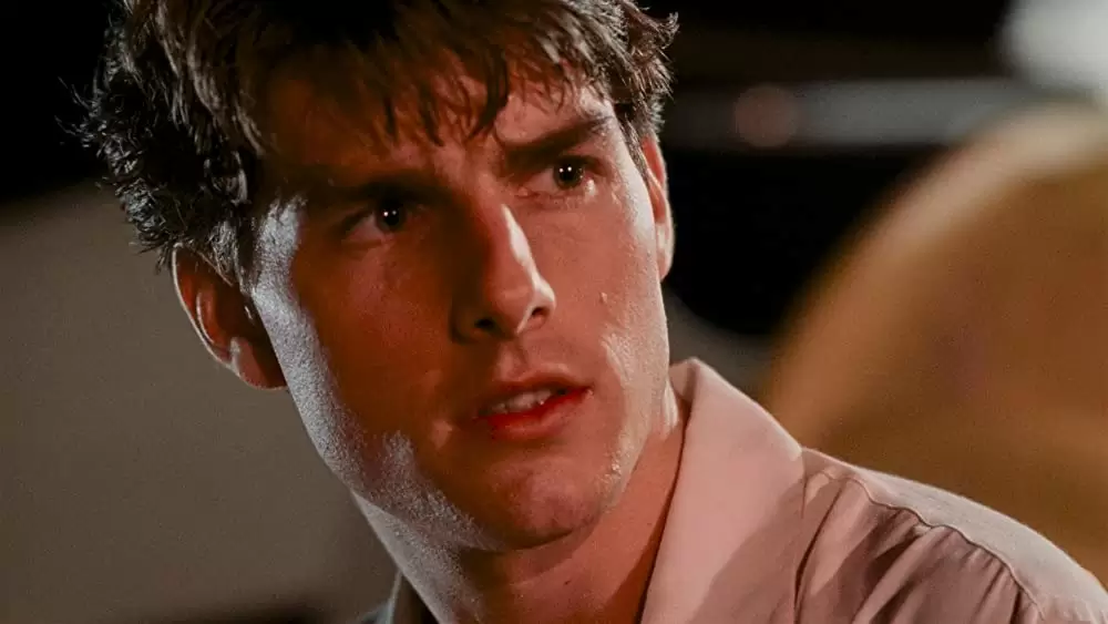 ザ・ファーム／法律事務所の画像