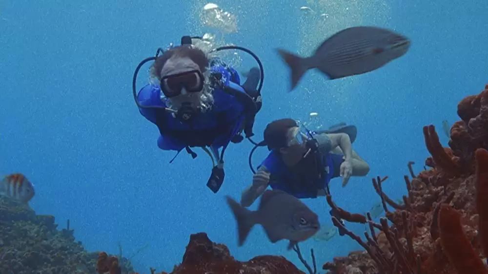 「ザ・ファーム／法律事務所」トム・クルーズ & ジーン・ハックマンの画像