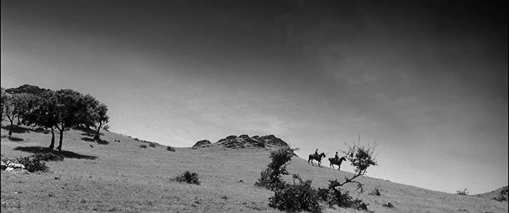 「アーフェリム！」Teodor Corban & Mihai Comanoiuの画像