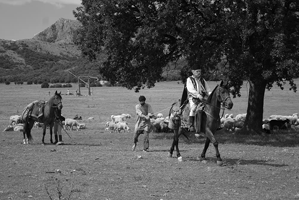「アーフェリム！」クジン・トマ & Teodor Corbanの画像