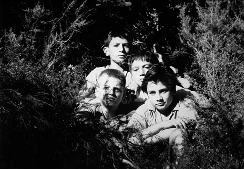 あこがれの画像