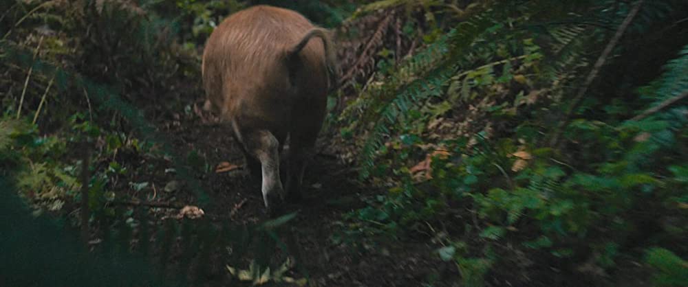 PIG ピッグの画像