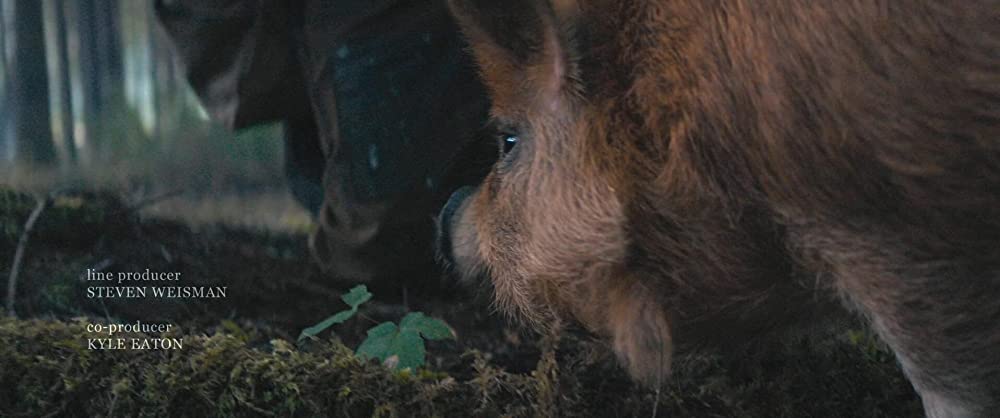 PIG ピッグの画像