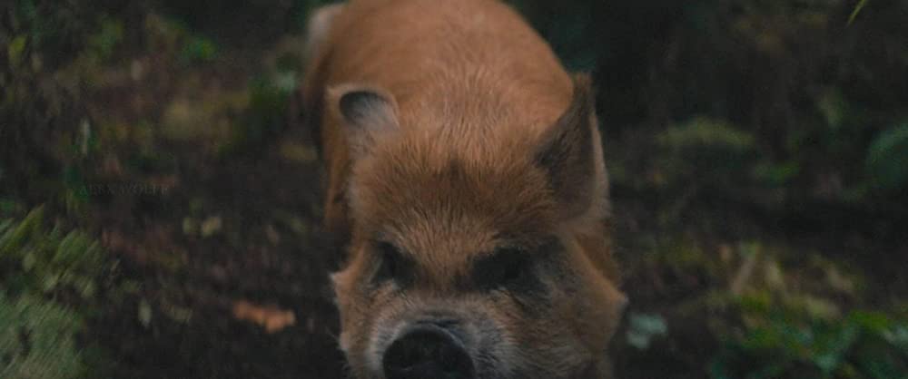 PIG ピッグの画像