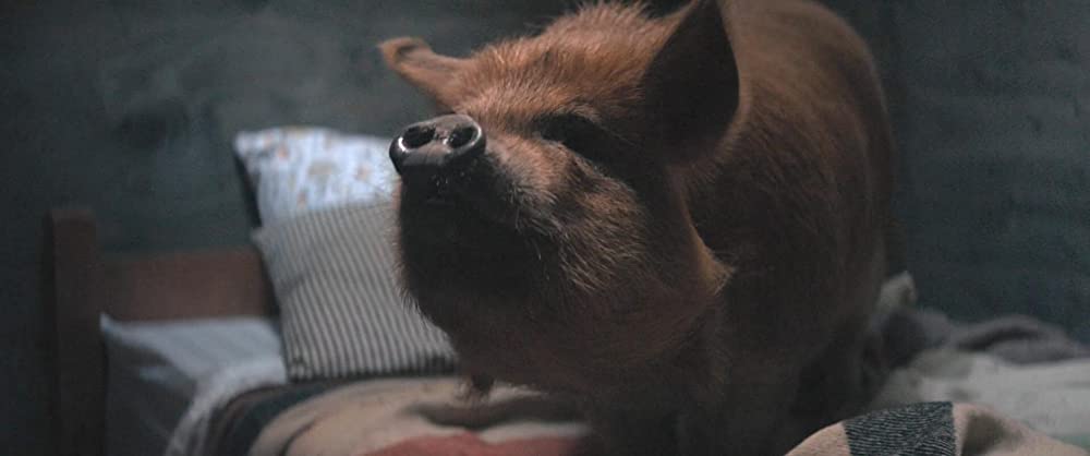 PIG ピッグの画像