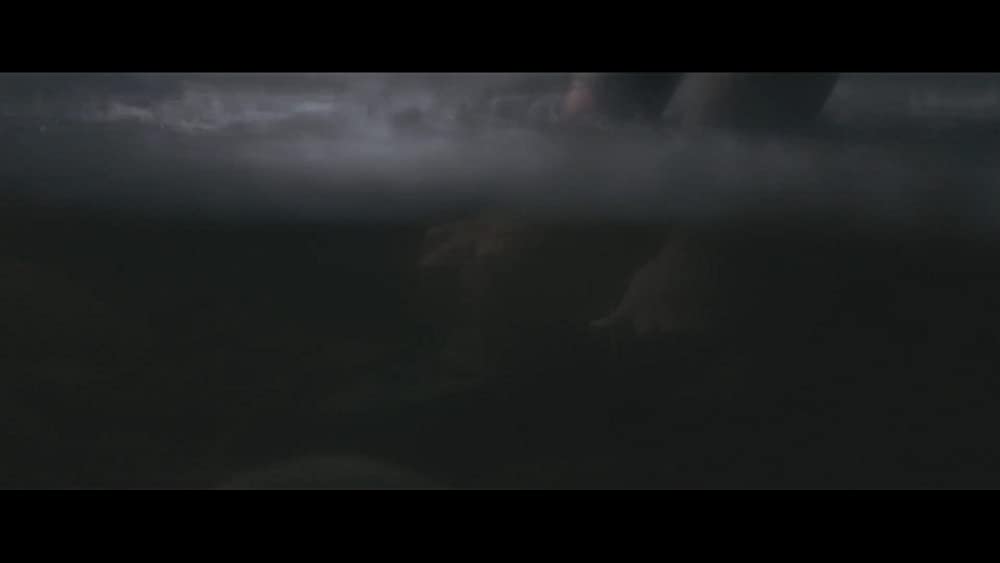 PIG ピッグの画像