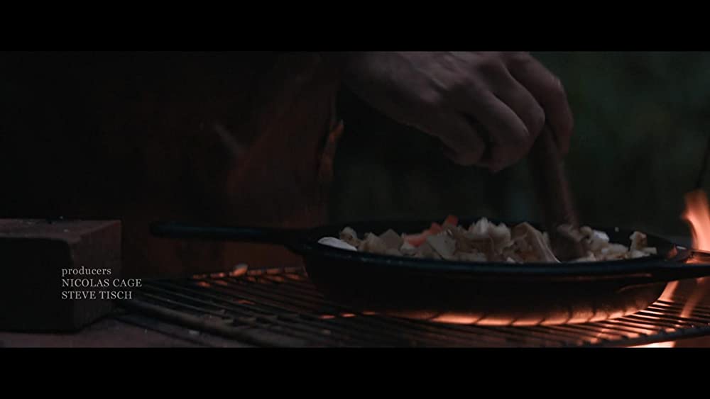 PIG ピッグの画像