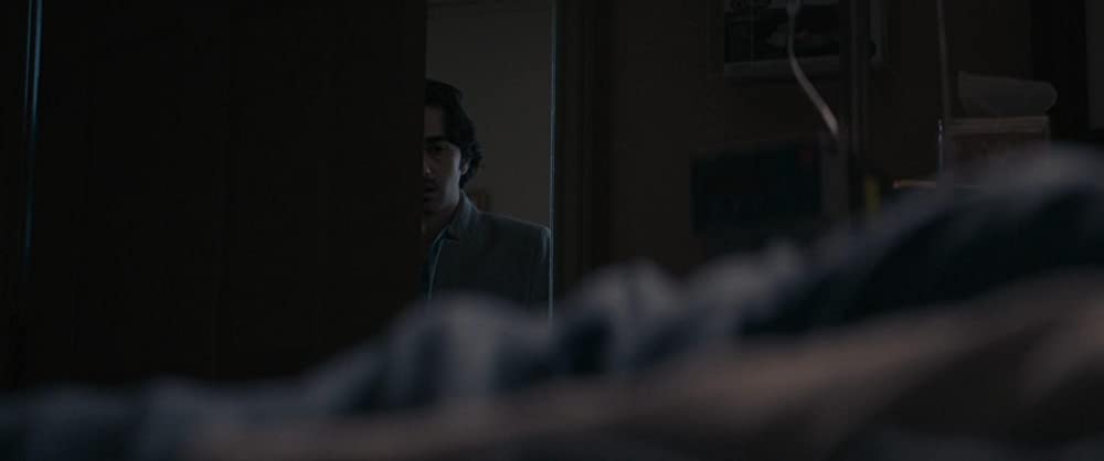 PIG ピッグの画像