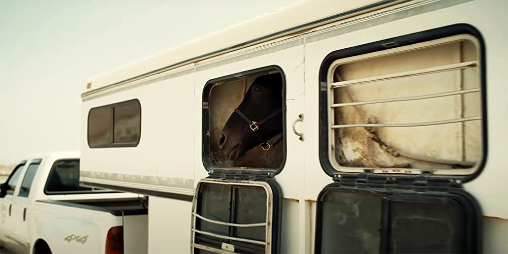 NOPE／ノープの画像