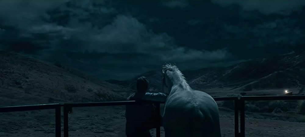 NOPE／ノープの画像