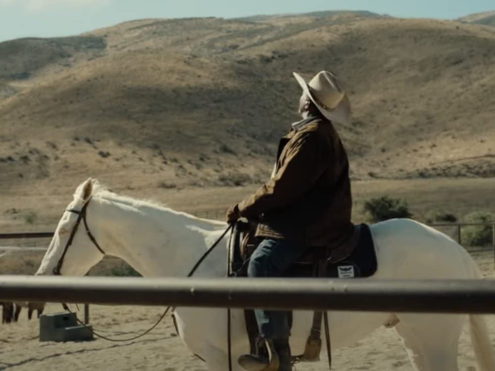 NOPE／ノープの画像