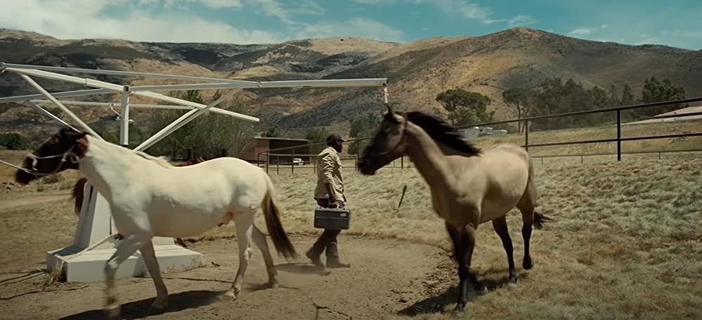 NOPE／ノープの画像