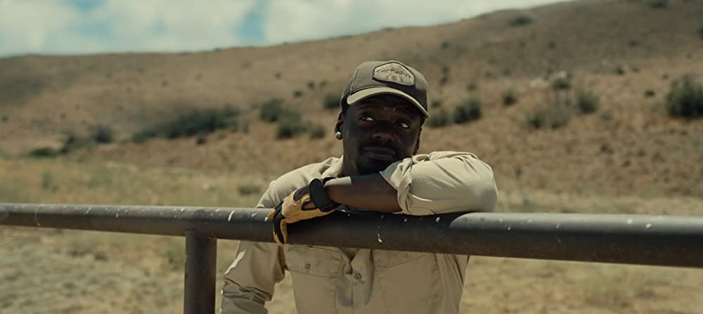 NOPE／ノープの画像