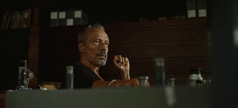 NOPE／ノープの画像