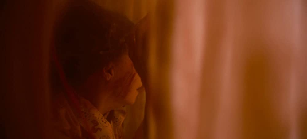 NOPE／ノープの画像