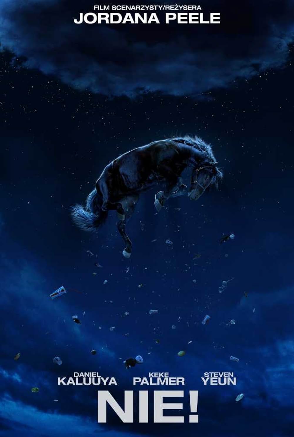 NOPE／ノープの画像