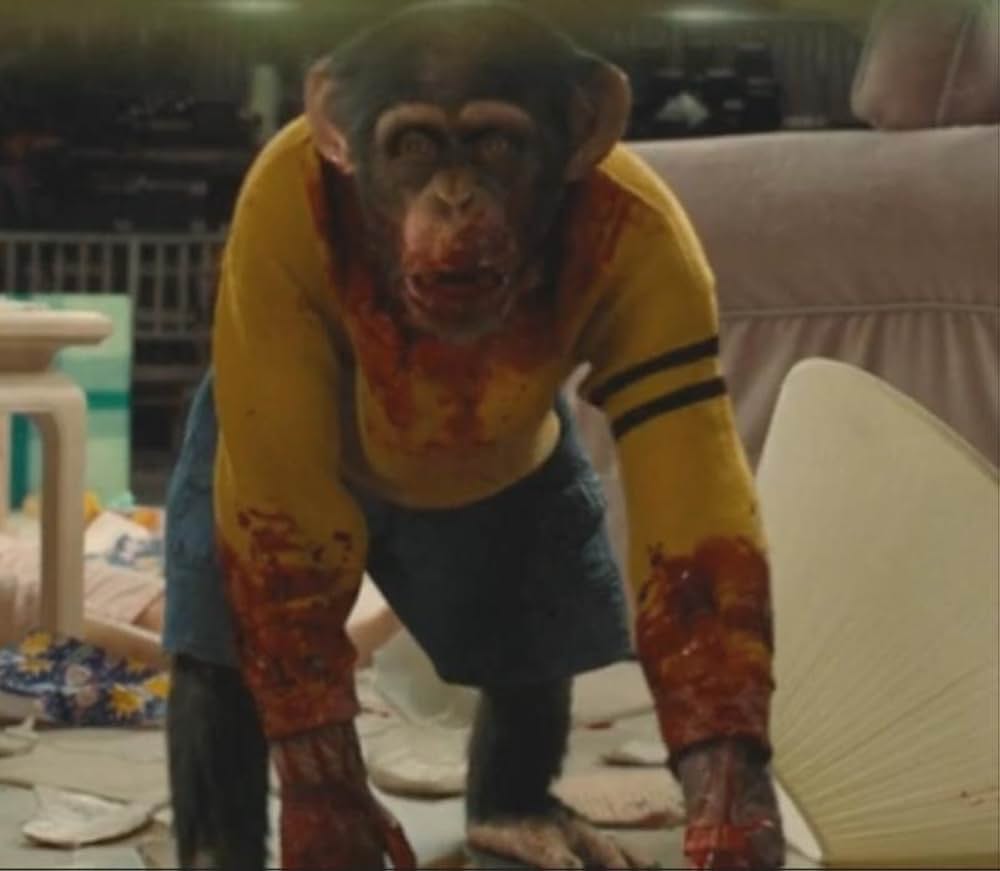 NOPE／ノープの画像