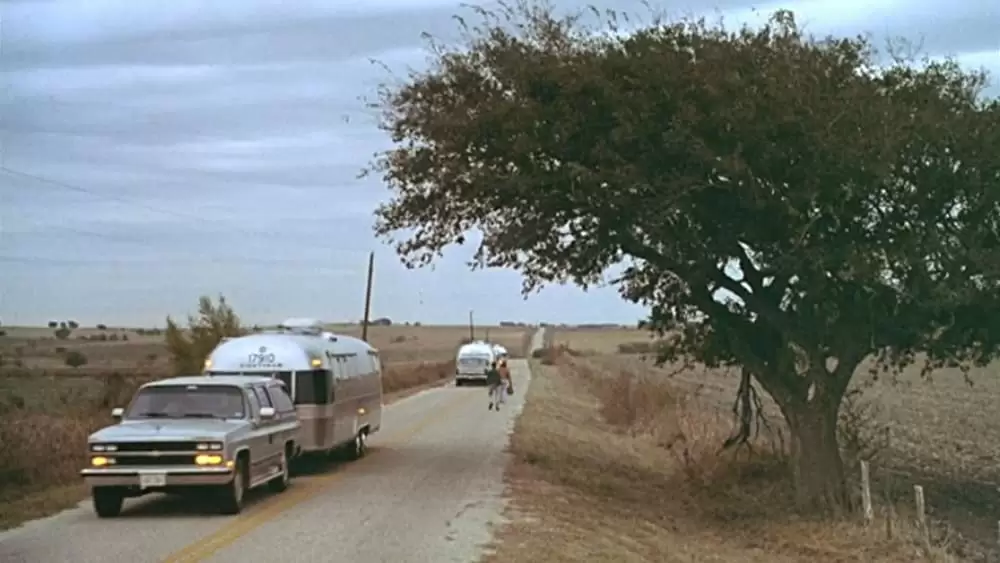 「ギルバート・グレイプ」ジョニー・デップ & レオナルド・ディカプリオの画像