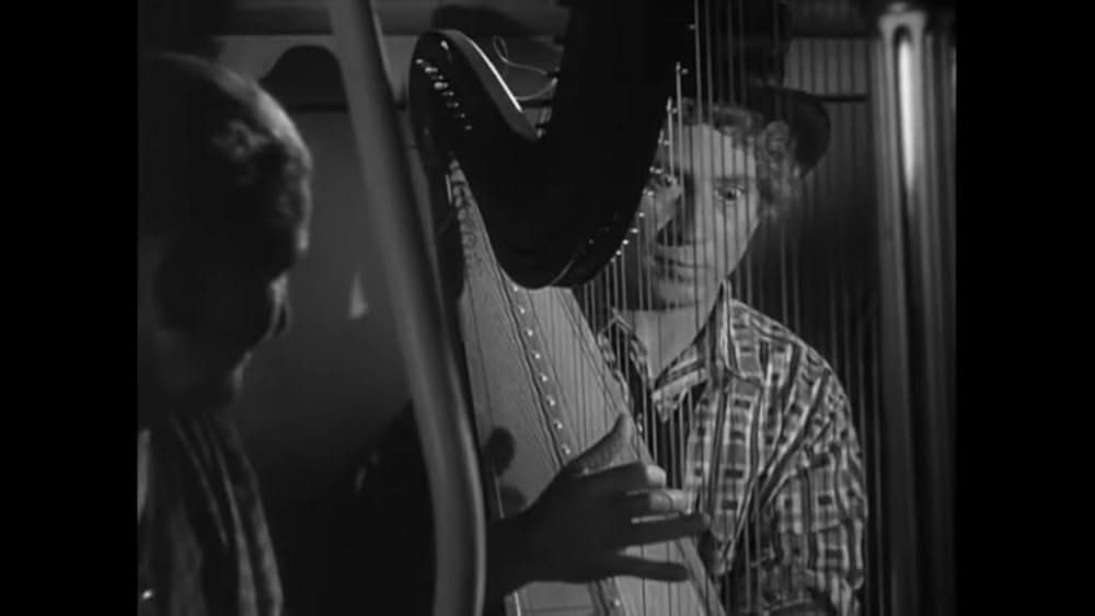 マルクス兄弟 オペラは踊る／マルクス兄弟オペラの夜の画像