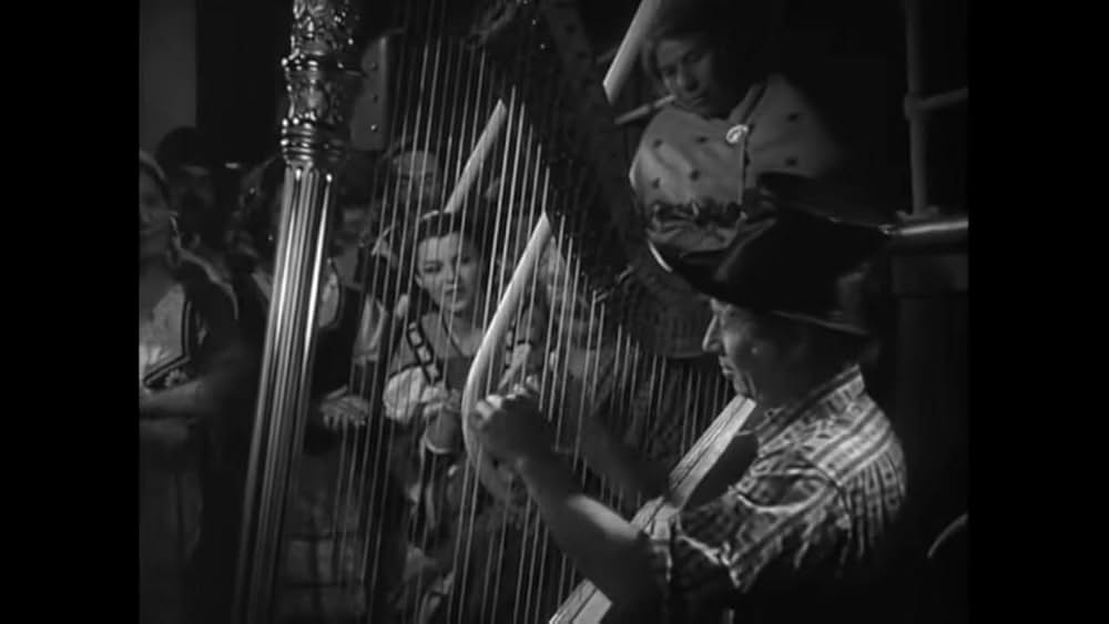 マルクス兄弟 オペラは踊る／マルクス兄弟オペラの夜の画像