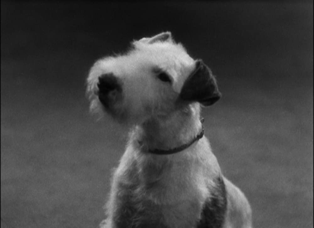 我等は楽しく地獄へ行くの画像