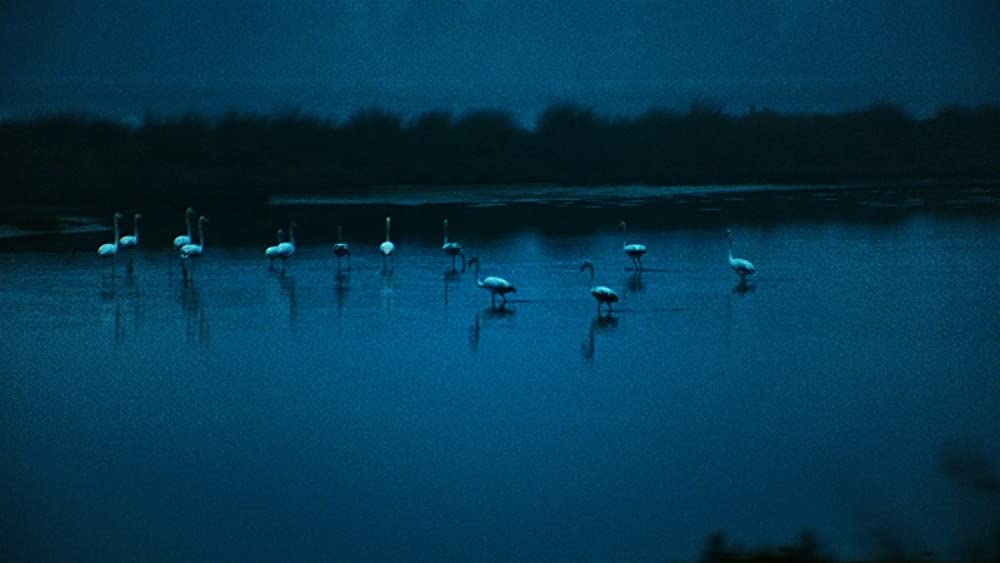 アメリカ・ラティーナの画像