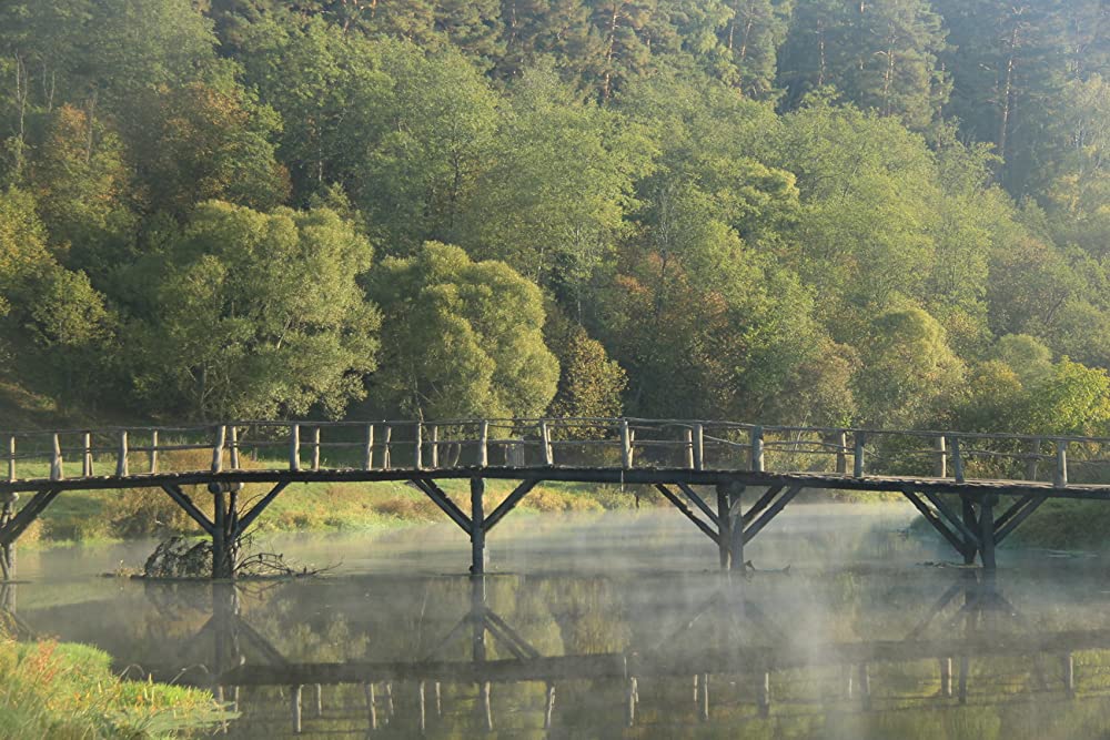 ブリッジ・オブ・ヘル 独ソ・ポーランド東部戦線の画像