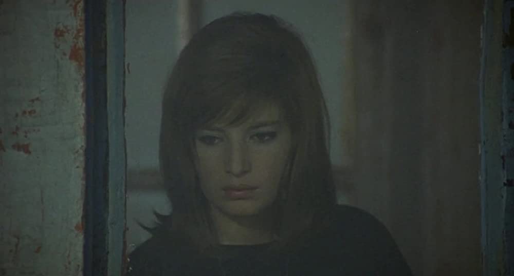 赤い砂漠の画像