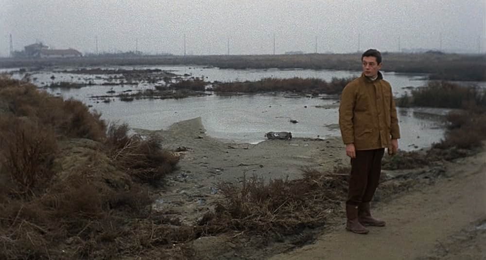 赤い砂漠の画像