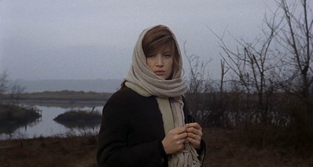 赤い砂漠の画像