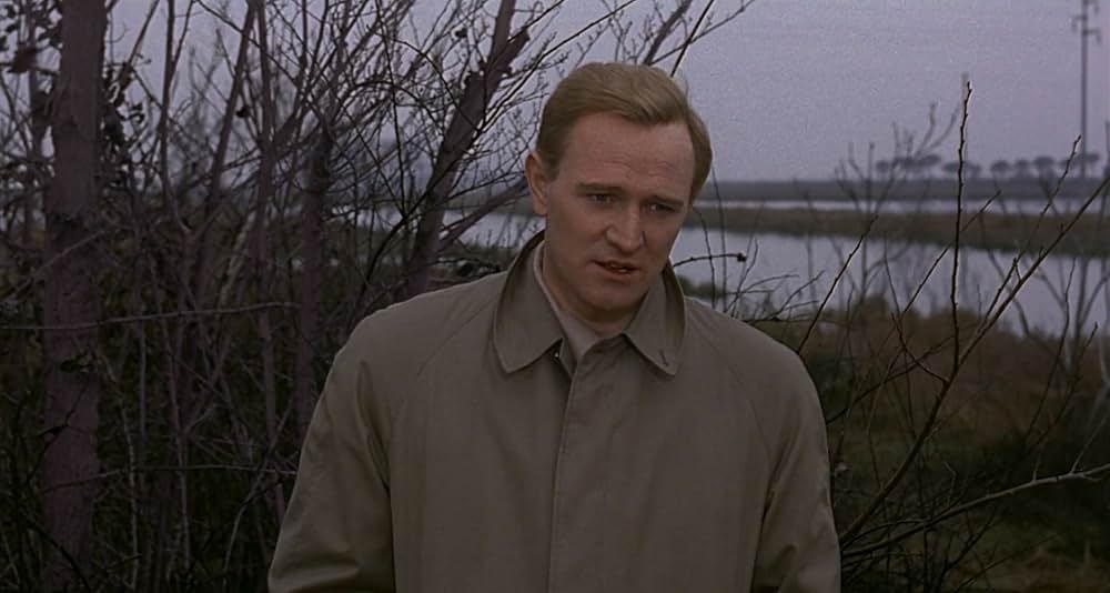 赤い砂漠の画像