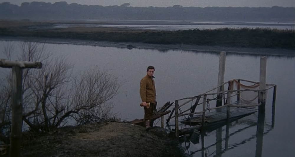 赤い砂漠の画像