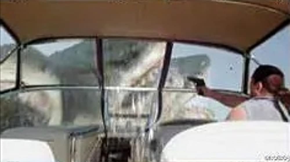 トリプルヘッド・ジョーズの画像