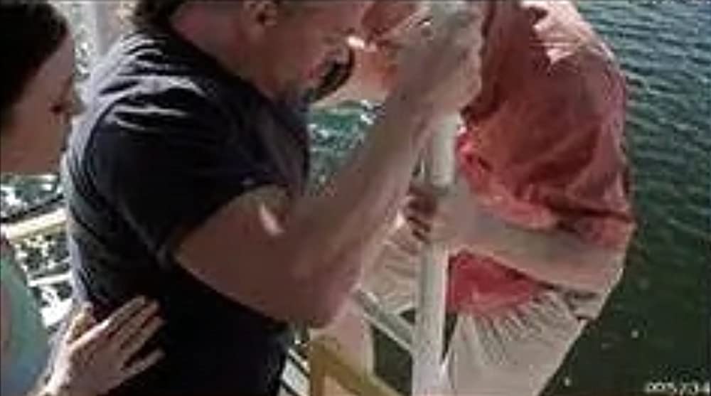 トリプルヘッド・ジョーズの画像