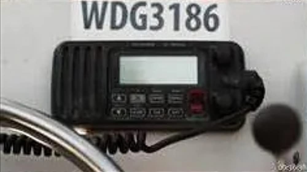 トリプルヘッド・ジョーズの画像