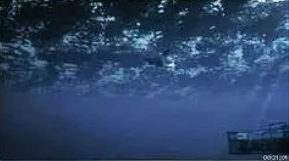 トリプルヘッド・ジョーズの画像