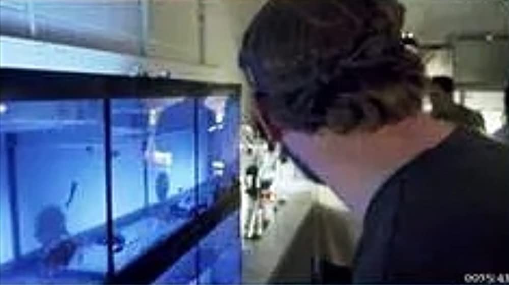 トリプルヘッド・ジョーズの画像