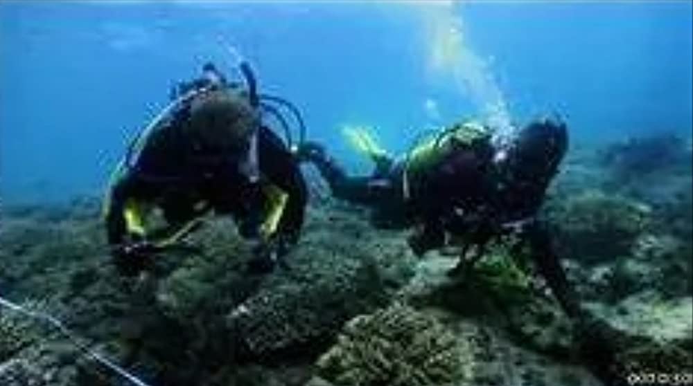 トリプルヘッド・ジョーズの画像