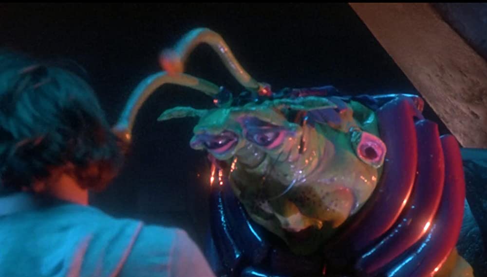 「エクスプロラーズ」ロバート・ピカード & ジェイソン・プレソンの画像