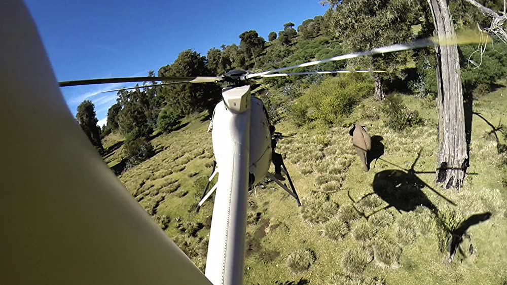 アイボリー・ゲームの画像