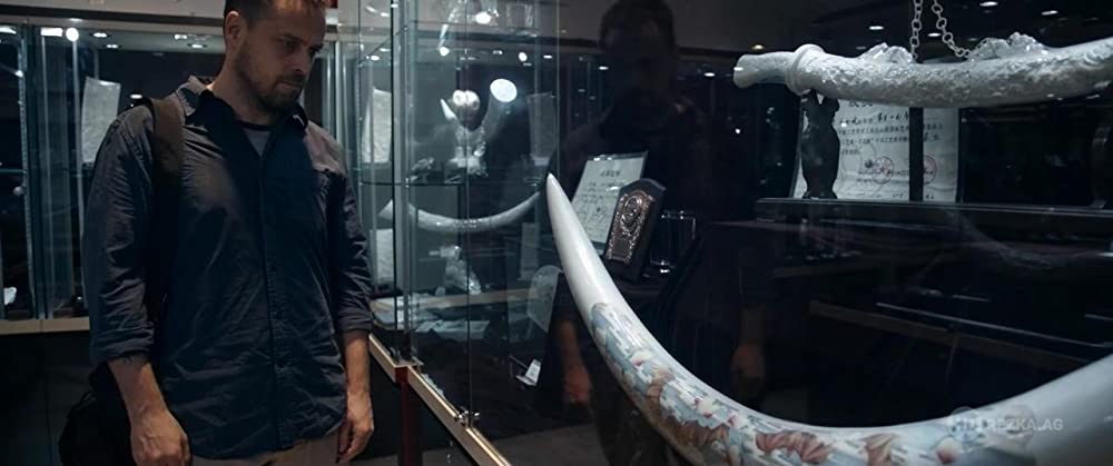 アイボリー・ゲームの画像