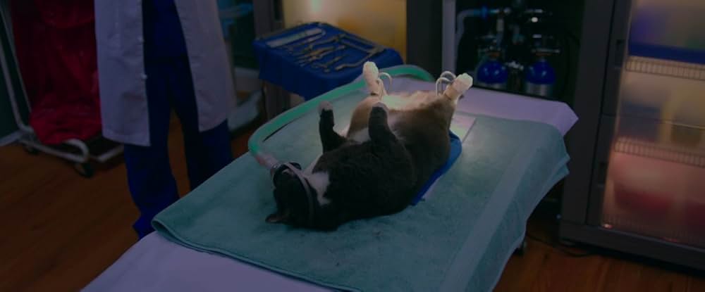 ファーザー・フィギュアの画像