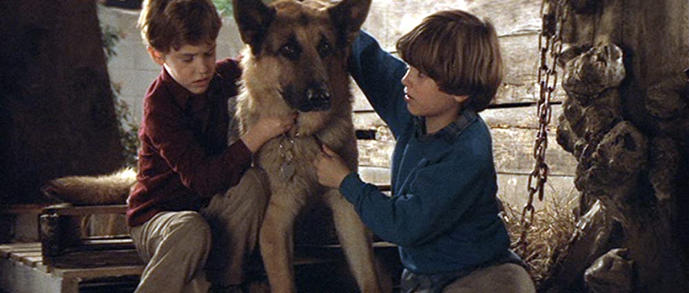 ラジオ・フライヤーの画像